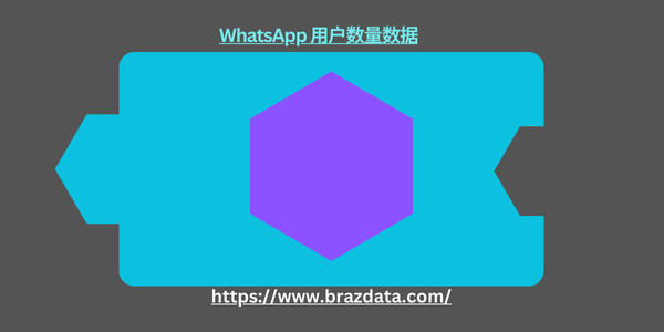 WhatsApp 用户数量数据